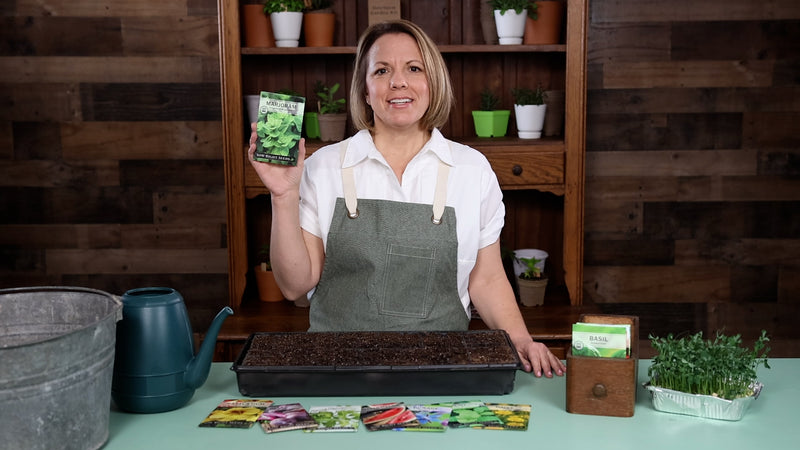marjoram product video why you should grow marjoram seeds sow right seeds video media