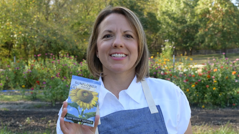 mammoth sunflower product video why you should grow mammoth sunflower seeds sow right seeds video media