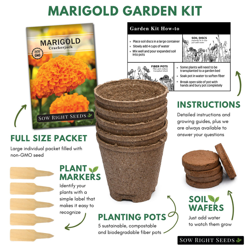 Marigold Starter Kit