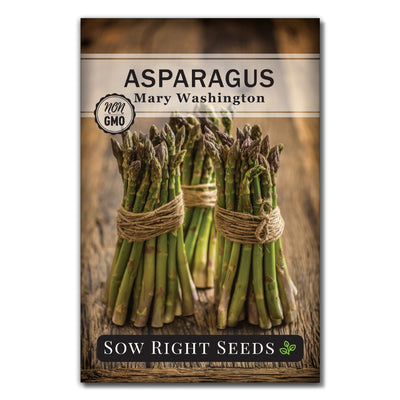 sparrow grass spring asparagus seeds for sale