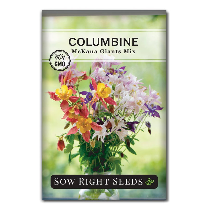 mixed yellow red and pink columbine flower seed packet