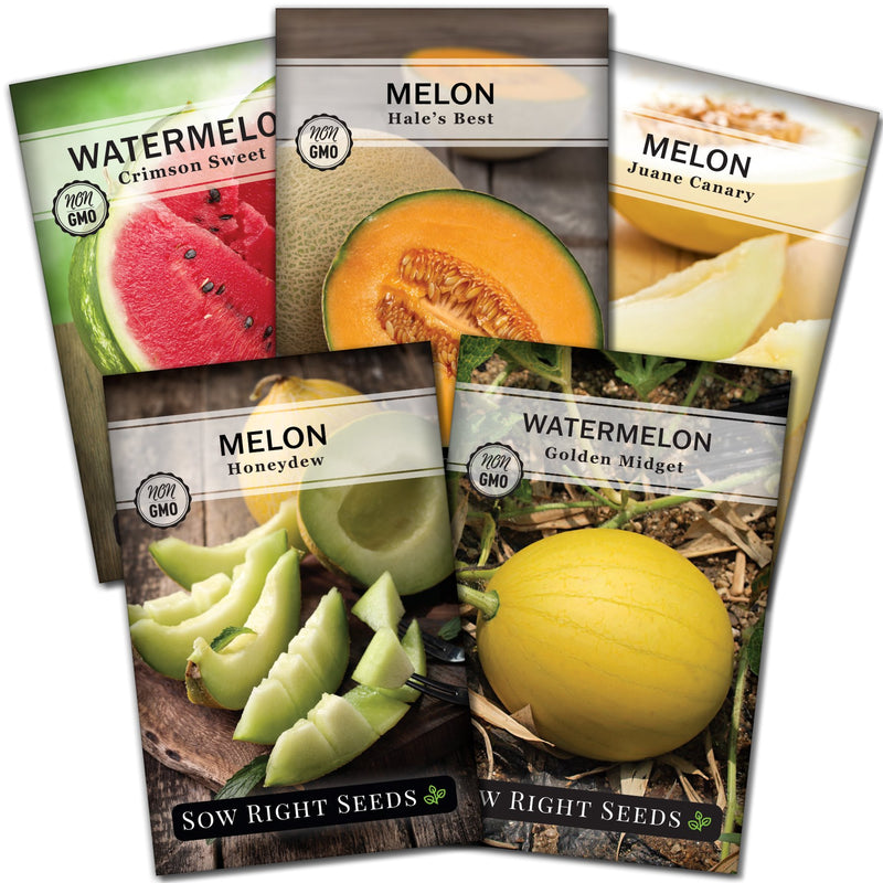 melon seed packet collection with 5 varieties of seeds for sale
