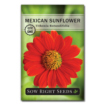 bright red mexican sunflower seeds for sale