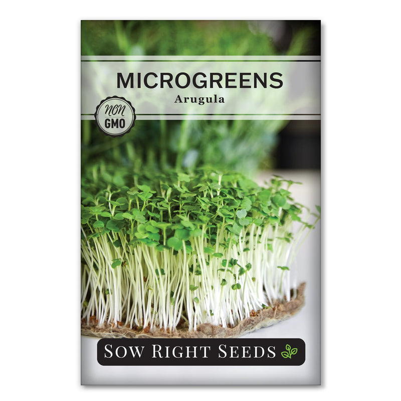 arugula microgreen seed packet
