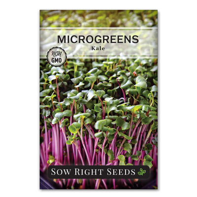 red kale microgreen seed packet