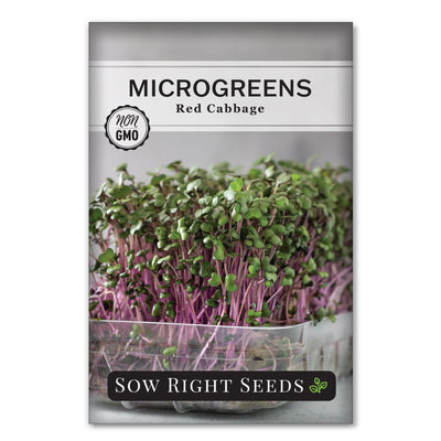 red cabbage microgreen seed packet
