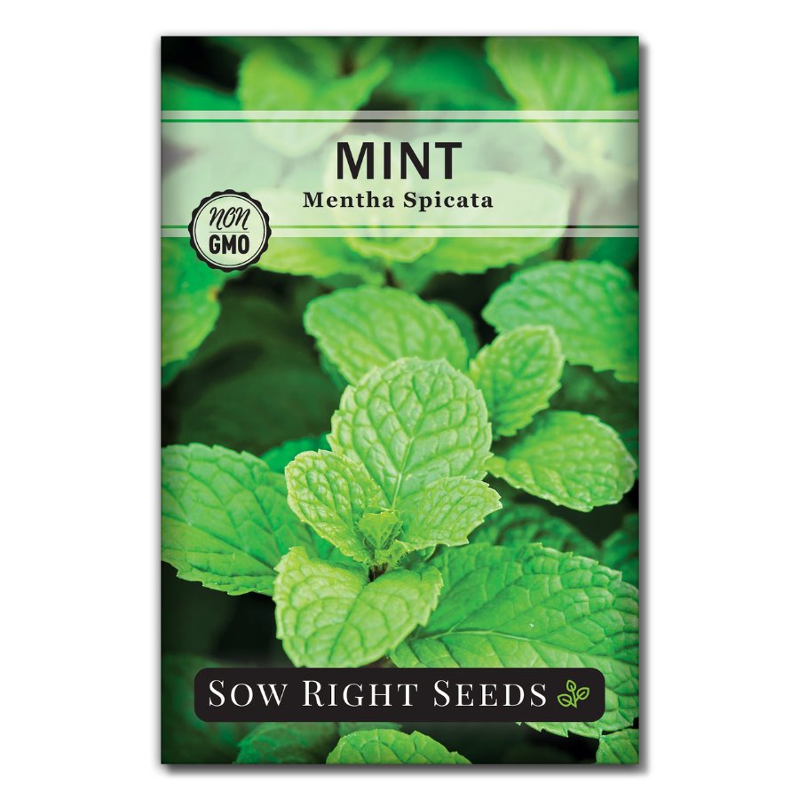 organic indoor plant fertilizer Organic Indoor Plant Food – Premium Nutrients for Ferns, Pothos & More main image 0