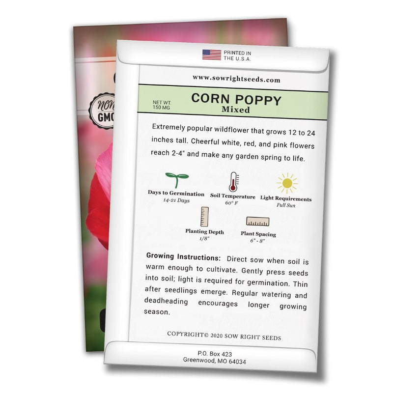 how to grow the best corn poppy plants