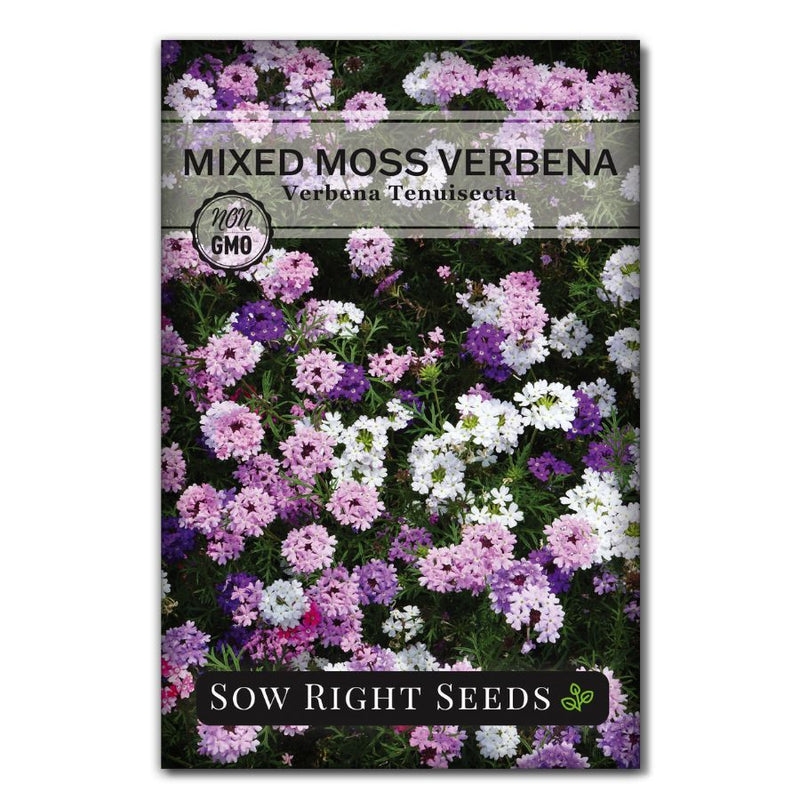 pink white and purple mixed drought resistant verbena flower seeds for sale