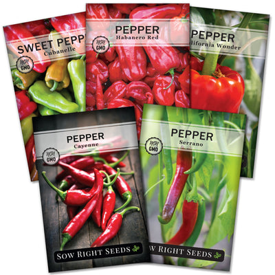 mixed pepper collection containing 5 varieties of spicy and sweet pepper seeds for sale