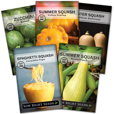 mixed squash seed packed collection with 5 varieties of seeds for sale