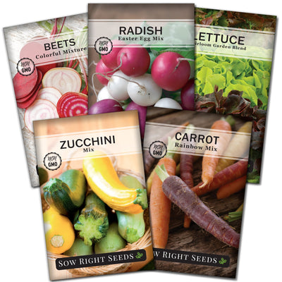 mixed vegetable seed packet collection with 5 varieties of seeds for sale