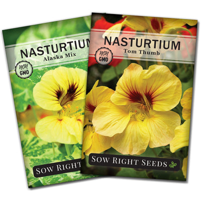 nasturtium seed packet collection with 2 varieties for sale