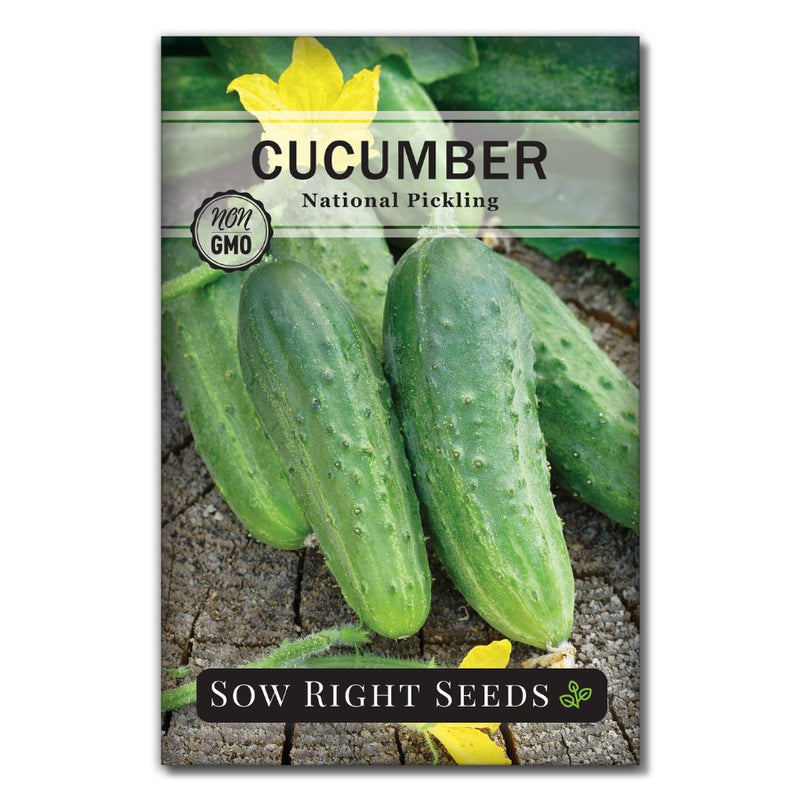 vegetable national pickling cucumber seeds