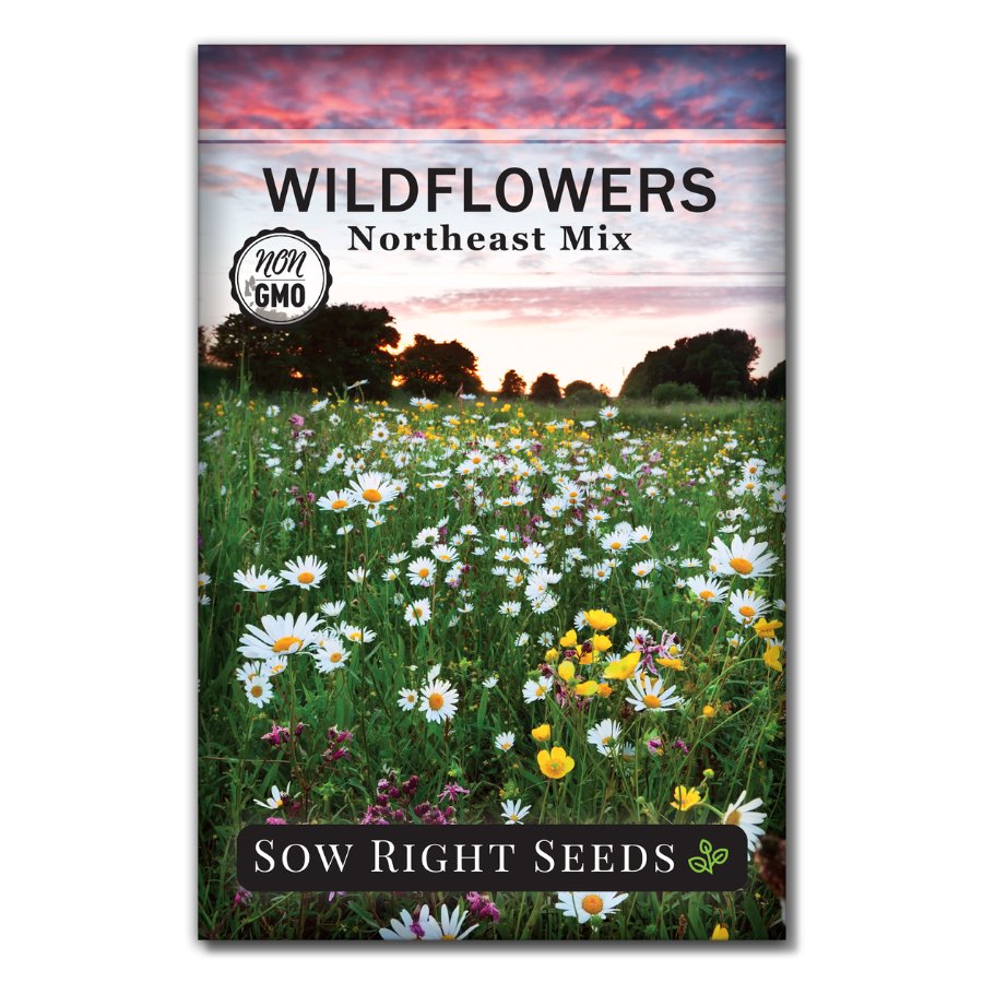 New Jersey Blend, Wildflower Seed