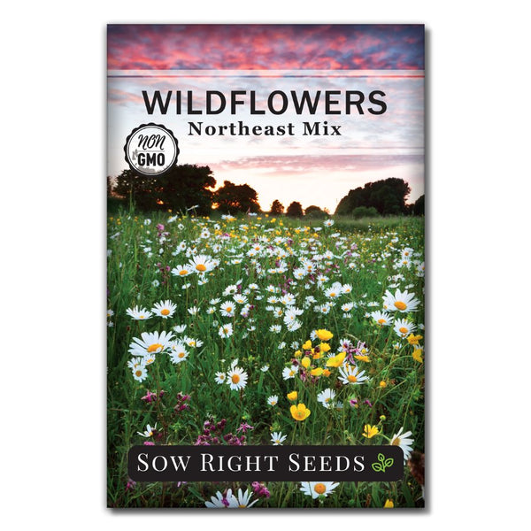 native northeast wildflower seed mix Northeastern Mix Wildflower Seeds