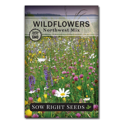 mix of annual and perennial wildflower seeds for the northwest for sale