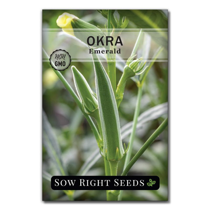 straight spineless pickled vegetable emerald okra seeds for sale