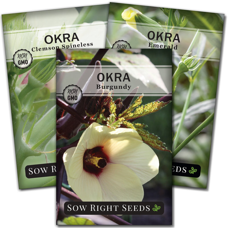 okra seed packet collection with 3 varieties of seeds for sale