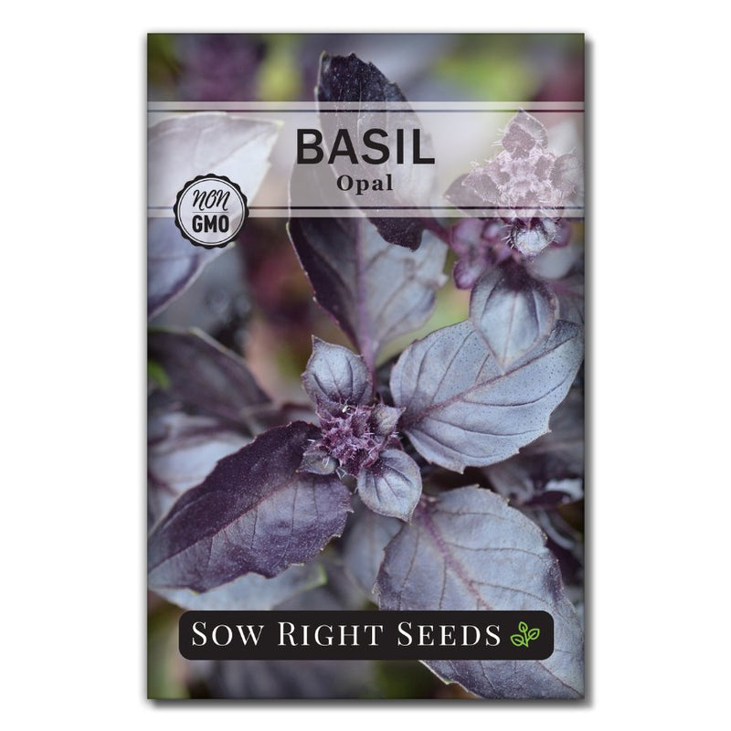 dark purple Opal Basil seeds for sale