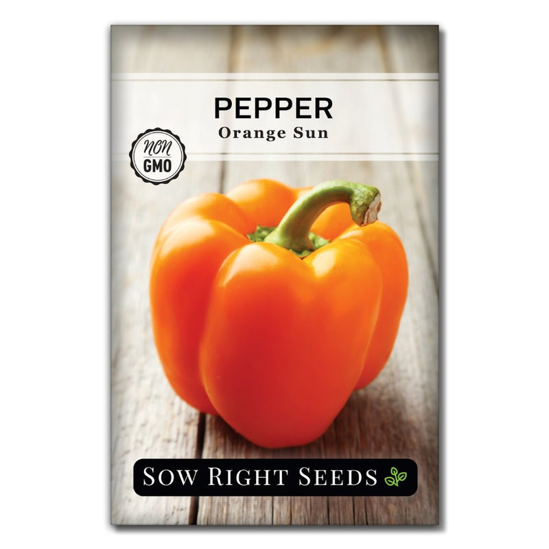 thick crunchy vegetable orange sun pepper seeds for sale