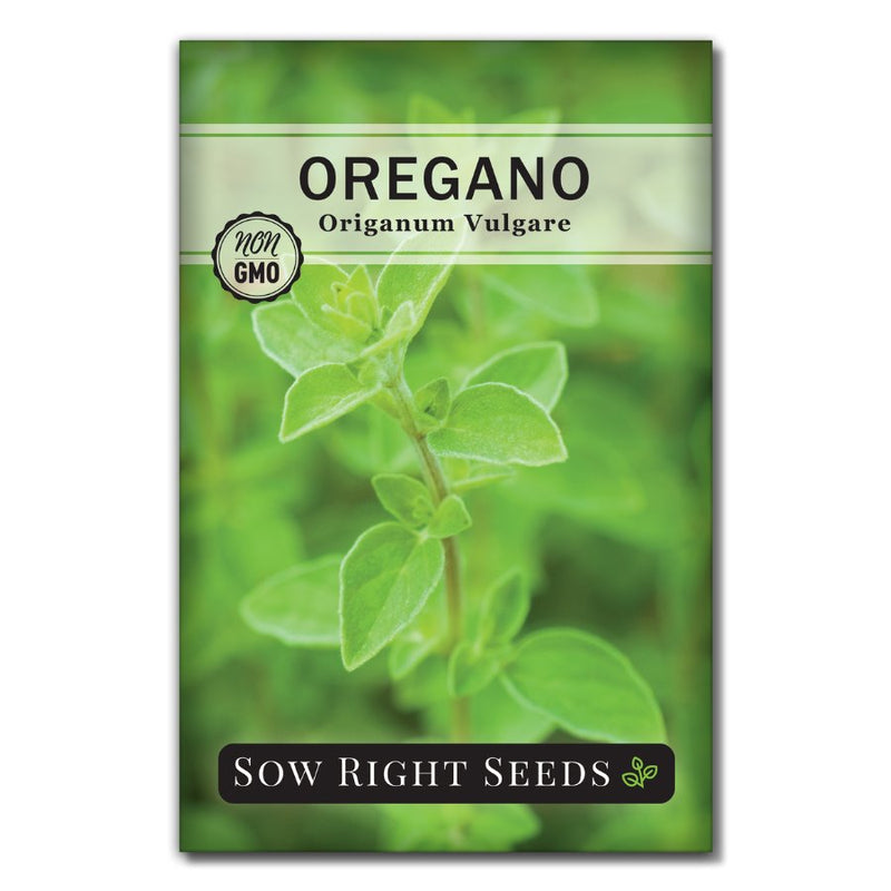 wonderful culinary herb oregano seeds for sale