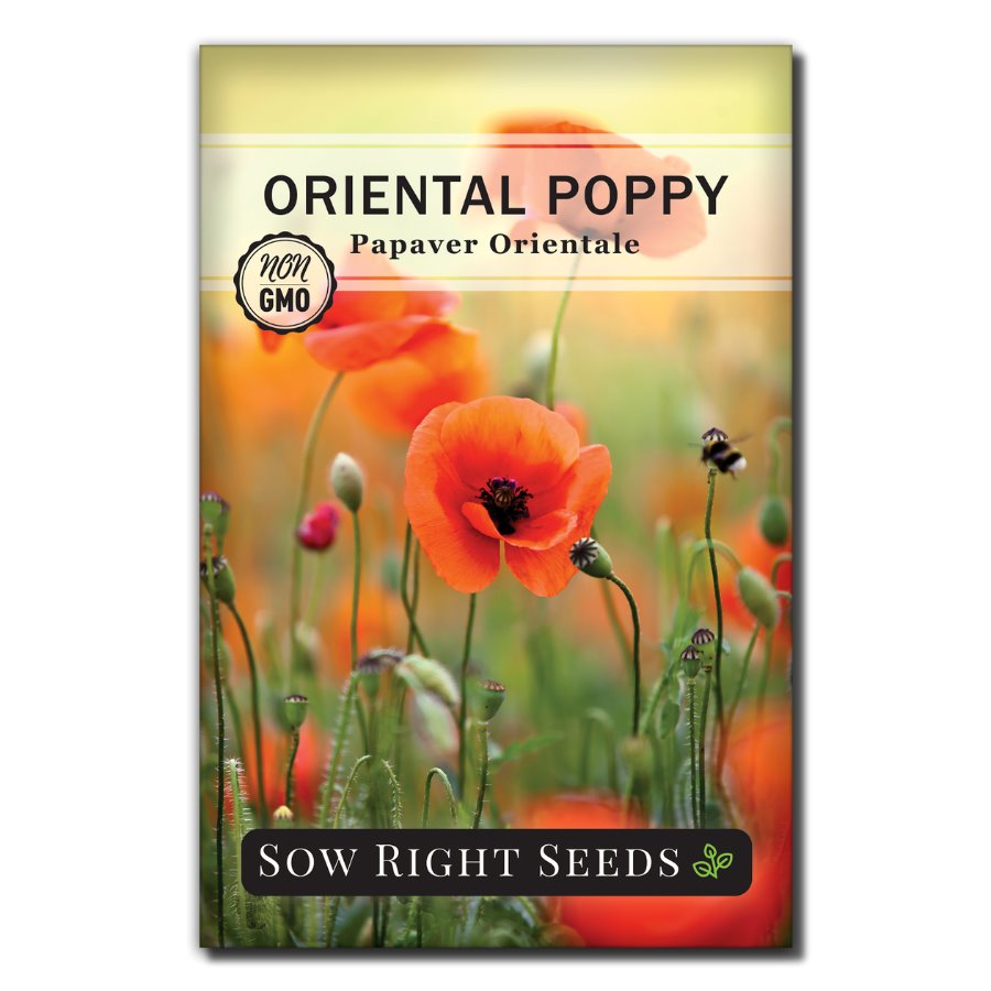 Sow Right Seeds Oriental Poppy