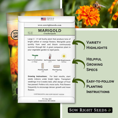how to grow the best crackerjack marigold plants with variety highlights, helpful growing specs, and easy to follow planting instructions