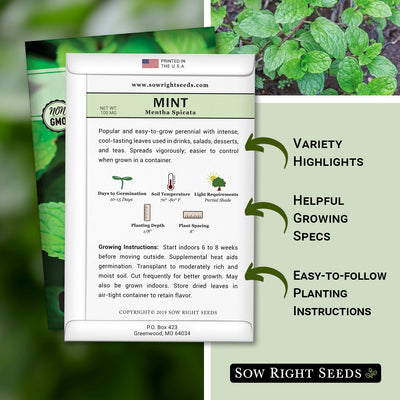 how to grow the best mint plants with variety highlights, helpful growing specs, and easy to follow planting instructions