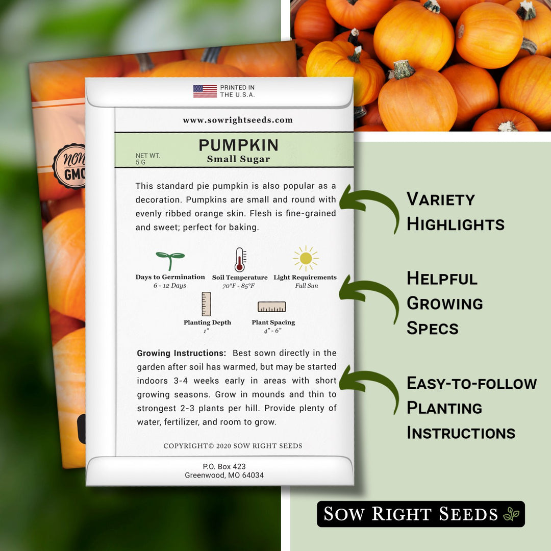 pumpkin seeds to plant near me Sow Right Seeds - Small Sugar Pumpkin Seed for Planting - Non-GMO Heirloom Packet with Instructions to Plant a Home Vegetable Garden