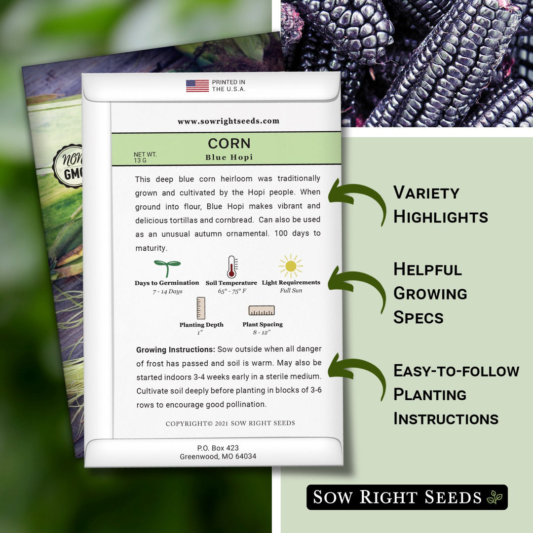 corn seed planting guide Blue Hopi Corn Seeds