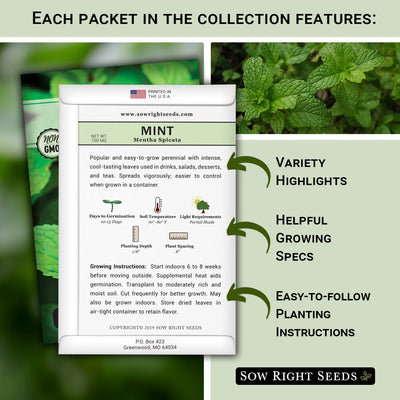 Popular Herb Collection
