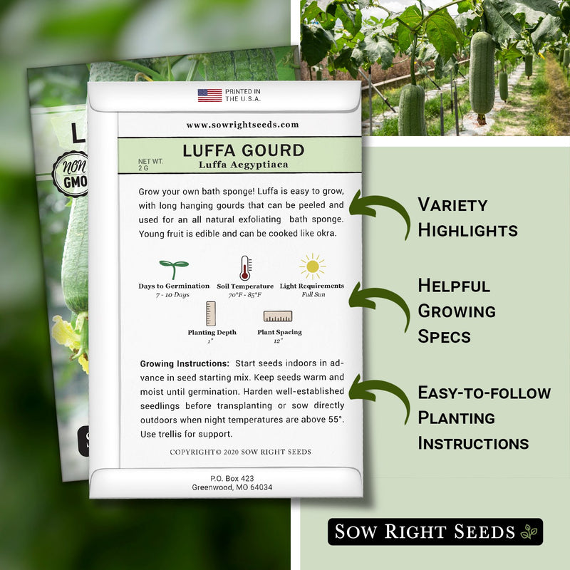 how to grow the best luffa gourd plants with variety highlights, helpful growing specs, and easy to follow planting instructions