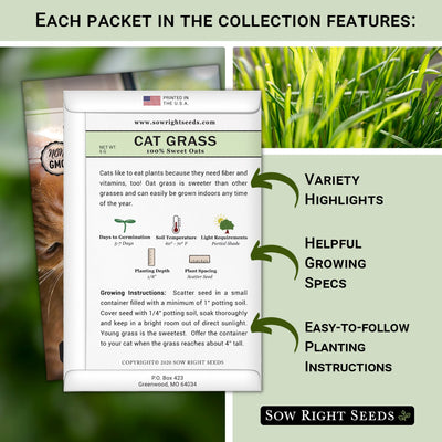 Catnip and Cat Grass Collection