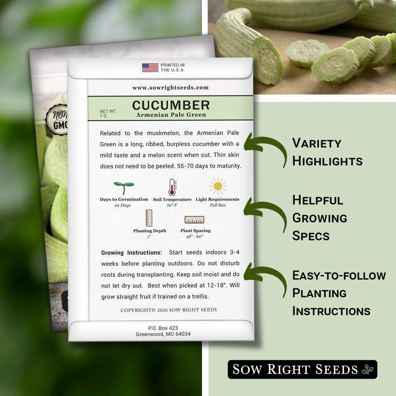 planting armenian cucumber seeds Armenian Pale Green Cucumber