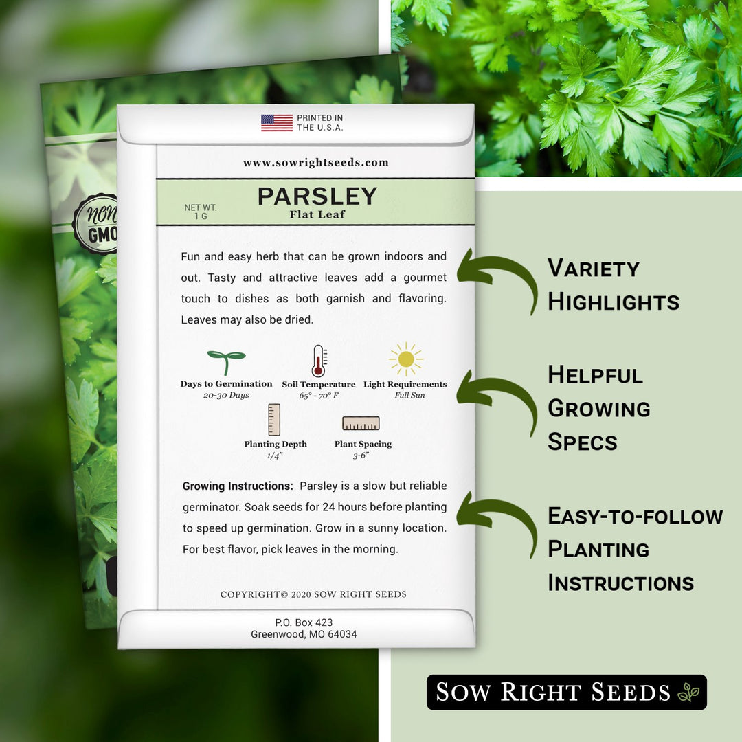 soak parsley seeds before planting Flat Leaf Parsley Seeds for Planting