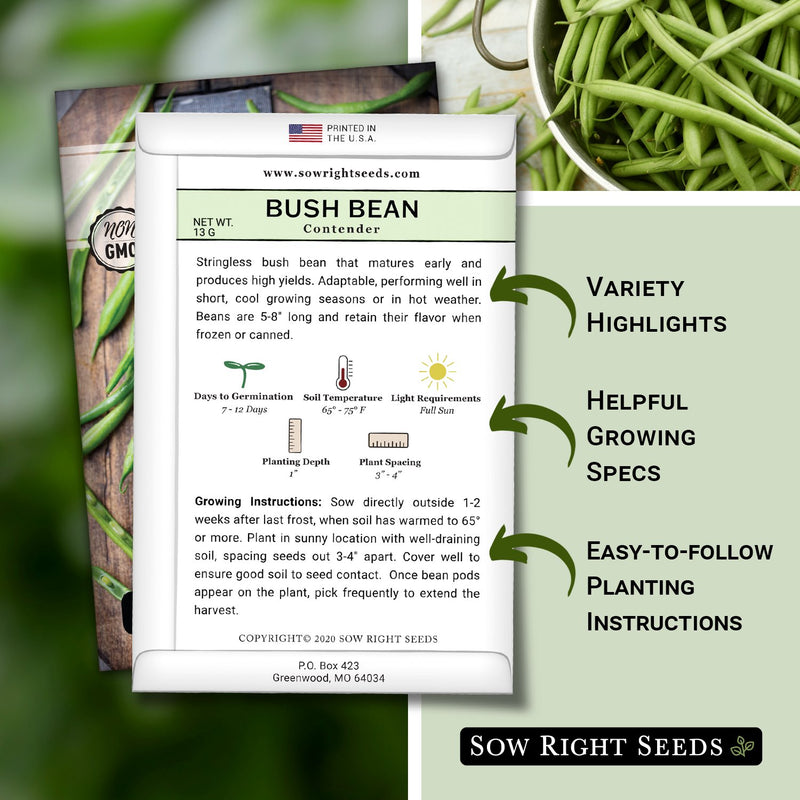 how to grow the best contender green bean plants