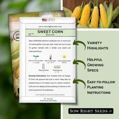 how to grow the best corn plants with variety highlights, helpful growing specs, and easy to follow planting instructions