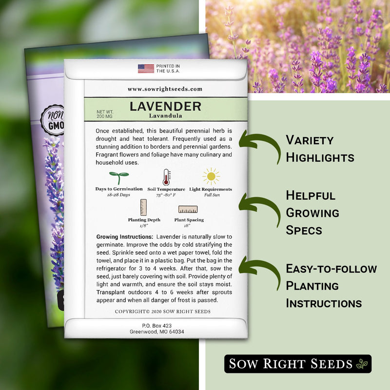 how to grow the best lavender plants with variety highlights, helpful growing specs, and easy to follow planting instructions