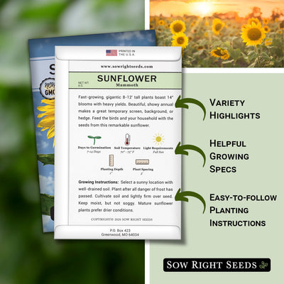 how to grow the best mammoth sunflower plants with variety highlights, helpful growing specs, and easy to follow planting instructions
