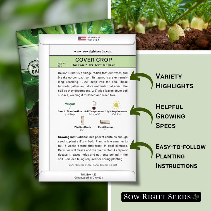 planting daikon radish seeds Daikon Driller Radish Cover Crops Seeds for Planting in Home Gardens – Sow  Right Seeds