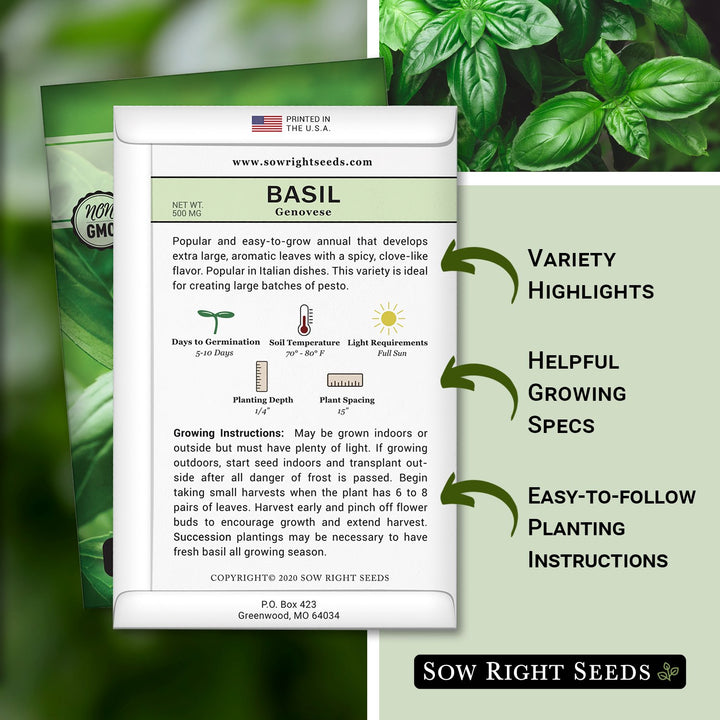 planting genovese basil seeds Genovese Basil Seeds