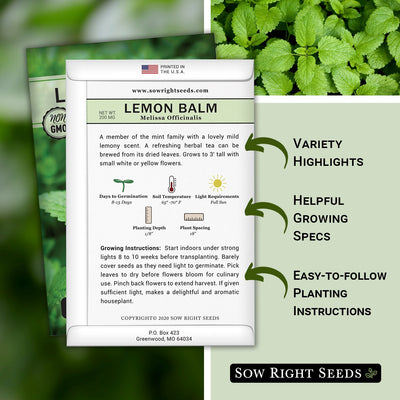 how to grow the best lemon balm plants with variety highlights, helpful growing specs, and easy to follow planting instructions