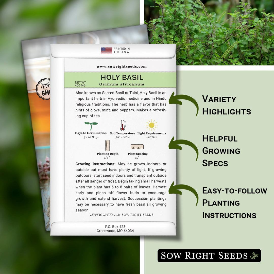 basil seeds planting instructions Holy Basil Seeds for Planting