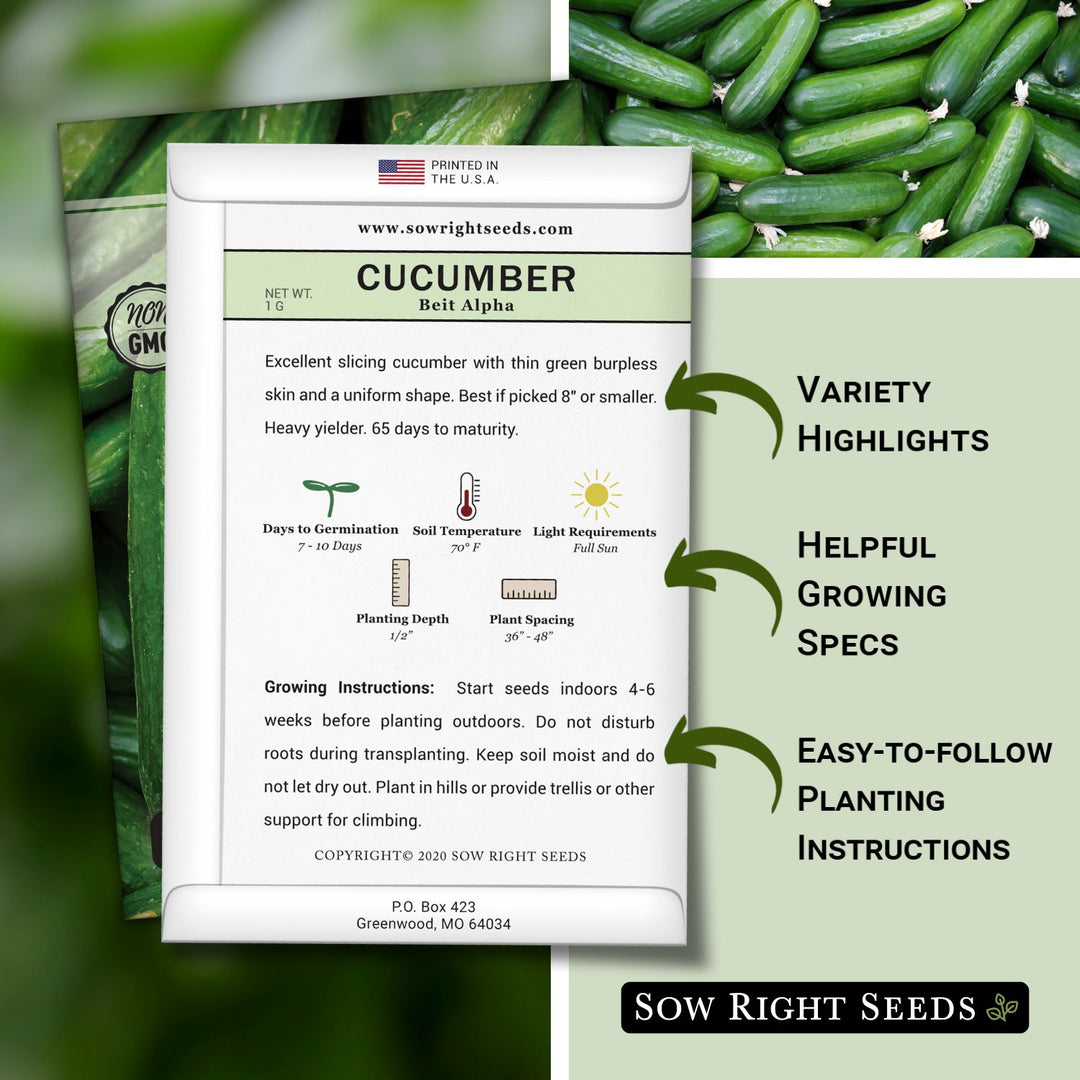 cucumber seed planting instructions Beit Alpha Cucumber Seeds