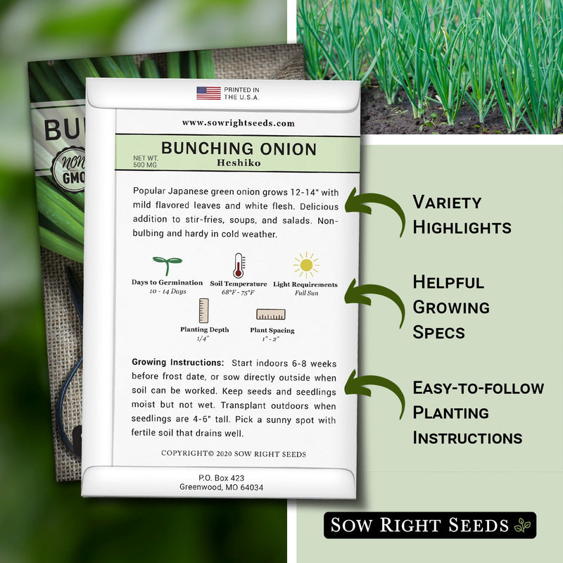 how to grow the best bunching onion plants with variety highlights, helpful growing specs, and easy to follow planting instructions