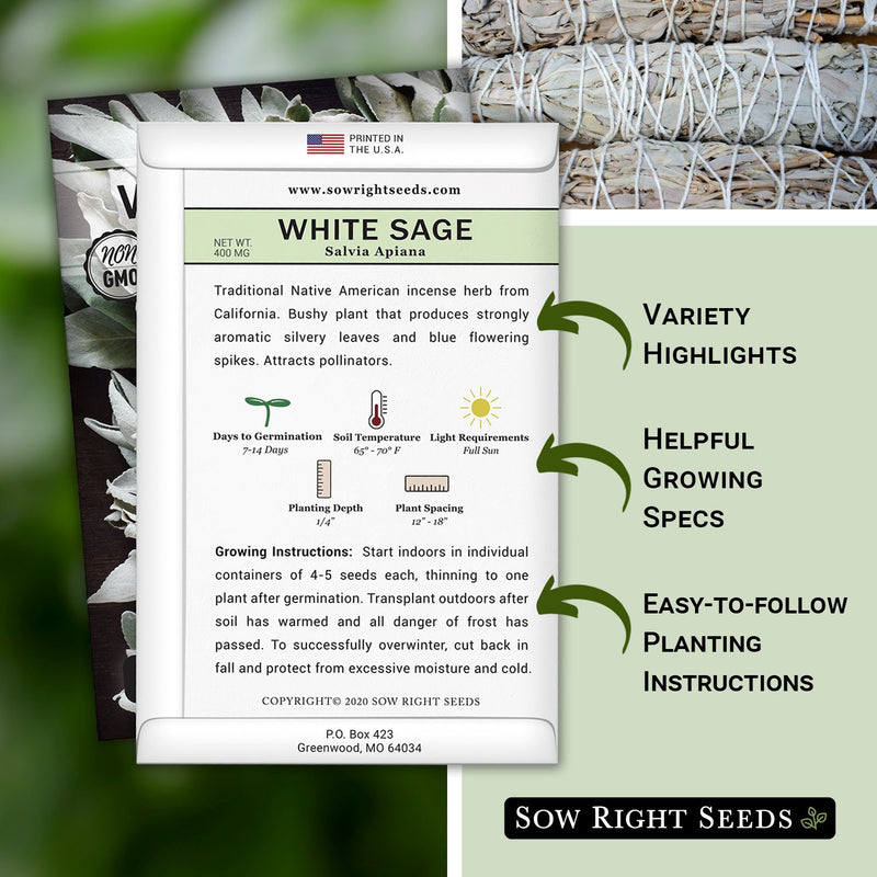 how to grow the best white sage plants with variety highlights, helpful growing specs, and easy to follow planting instructions