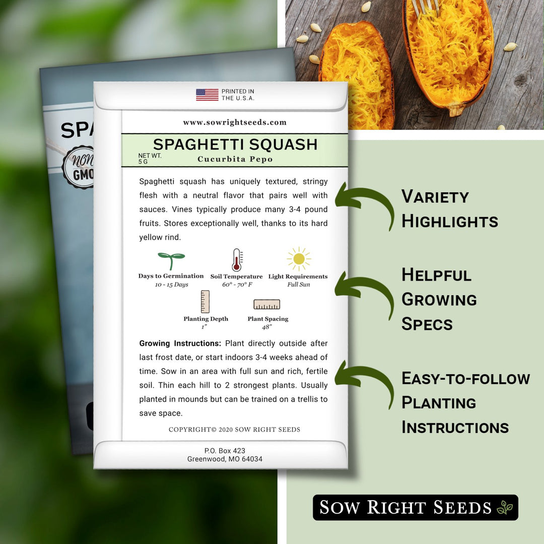 squash seed planting direction Spaghetti Squash Seeds for Planting