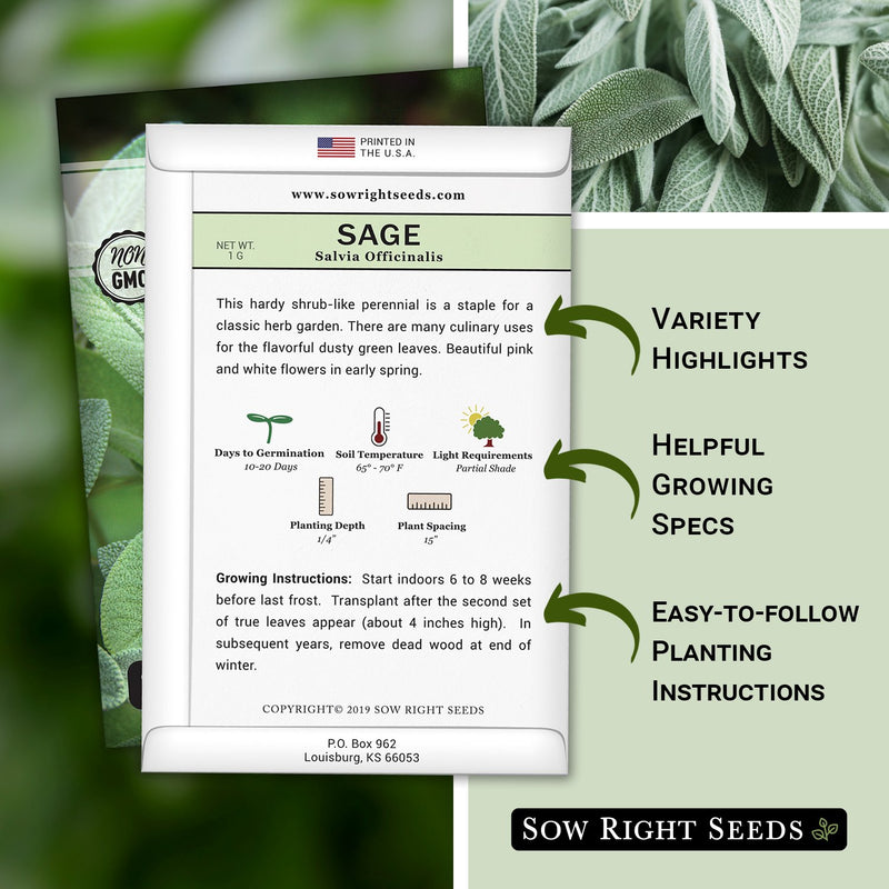 how to grow the best sage plants with variety highlights, helpful growing specs, and easy to follow planting instructions