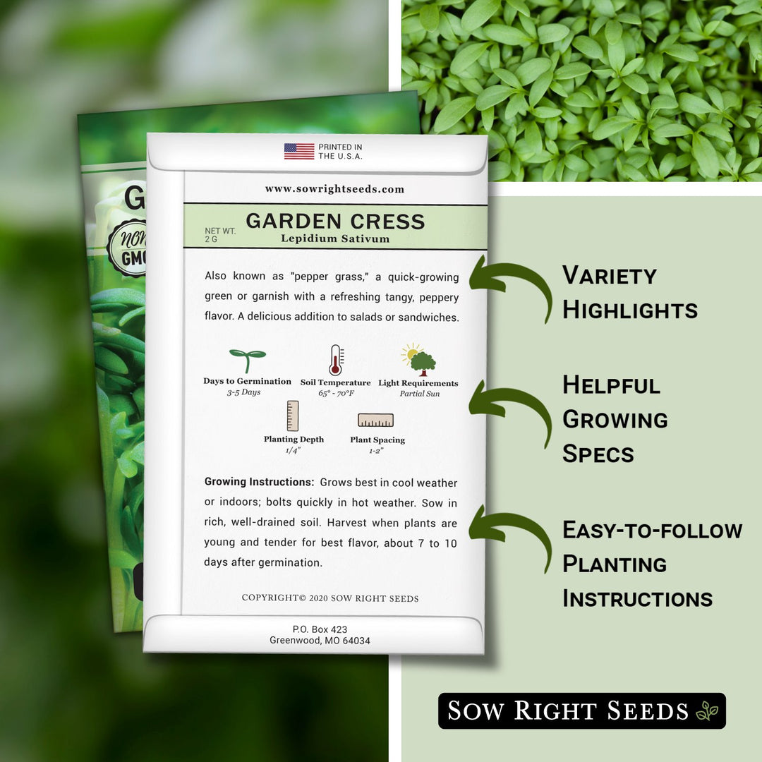 garden cress seeds in english Cress Seeds for Planting